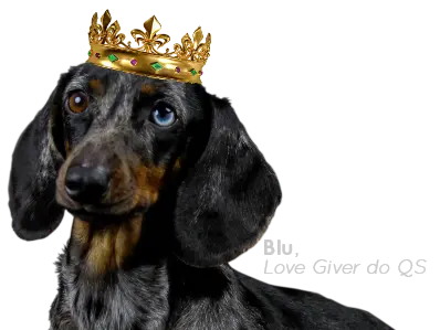 Foto da Blue, a cachorra mascote do QS, usando uma coroa com o texto Blue - Love Giver